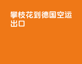 攀枝花到德国空运出口