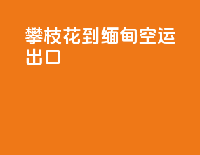 攀枝花到缅甸空运出口