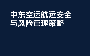 中东空运航运安全与风险管理策略