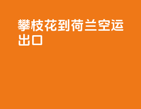 攀枝花到荷兰空运出口