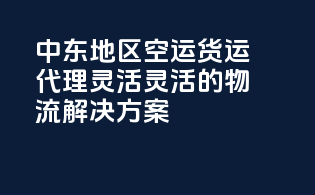 中东地区空运货运代理，灵活灵活的物流解决方案