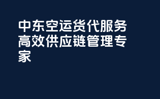 中东空运货代服务：高效供应链管理专家
