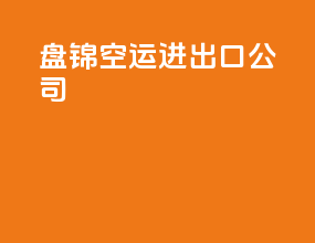 盘锦空运进出口公司