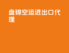盘锦空运进出口代理