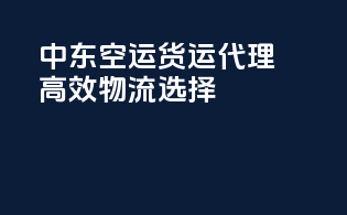 中东空运货运代理，高效物流选择