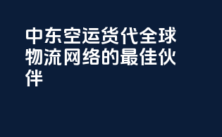 中东空运货代：全球物流网络的最佳伙伴