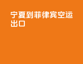 宁夏到菲律宾空运出口