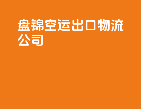 盘锦空运出口物流公司