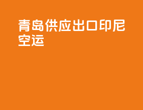 青岛供应出口印尼空运