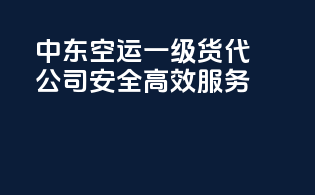 中东空运一级货代公司，安全高效服务