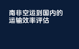 南非空运到国内的运输效率评估