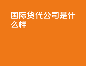 国际货代公司是什么样