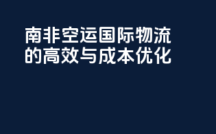 南非空运国际物流的高效与成本优化