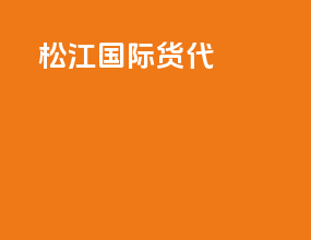松江国际货代