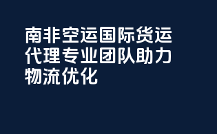 南非空运国际货运代理：专业团队助力物流优化