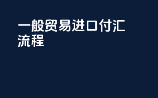 一般贸易进口付汇流程