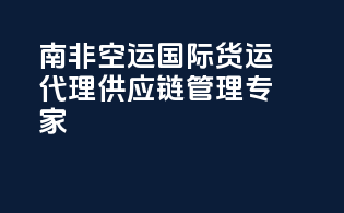 南非空运国际货运代理供应链管理专家