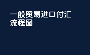 一般贸易进口付汇流程图