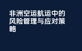 非洲空运航运中的风险管理与应对策略