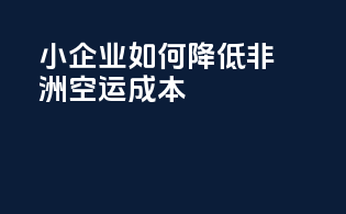 小企业如何降低非洲空运成本？