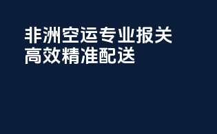非洲空运专业报关，高效精准配送