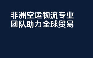 非洲空运物流：专业团队助力全球贸易
