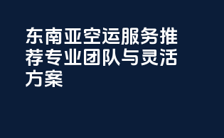 东南亚空运服务推荐：专业团队与灵活方案