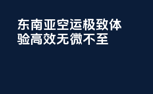 东南亚空运，极致体验，高效无微不至