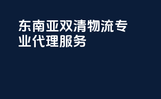 东南亚双清物流，专业代理服务