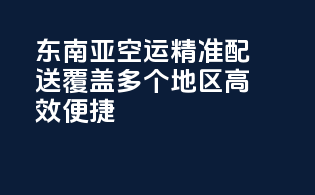 东南亚空运，精准配送，覆盖多个地区，高效便捷