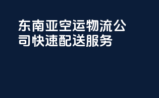 东南亚空运物流公司，快速配送服务