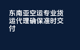 东南亚空运：专业货运代理，确保准时交付