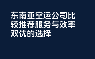 东南亚空运公司比较推荐：服务与效率双优的选择