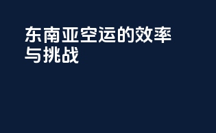 东南亚空运的效率与挑战