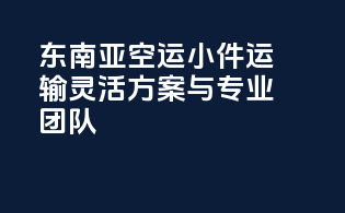 东南亚空运小件运输：灵活方案与专业团队