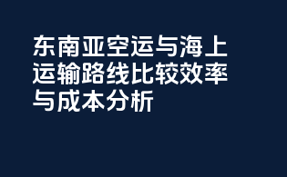 东南亚空运与海上运输路线比较：效率与成本分析