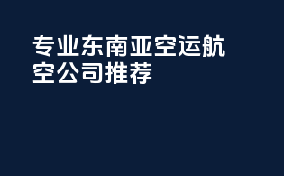 专业东南亚空运航空公司推荐