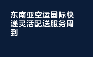 东南亚空运国际快递，灵活配送，服务周到！