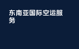 东南亚国际空运服务