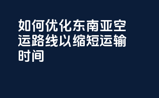 如何优化东南亚空运路线以缩短运输时间