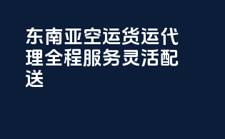 东南亚FBA空运货运代理，全程服务灵活配送
