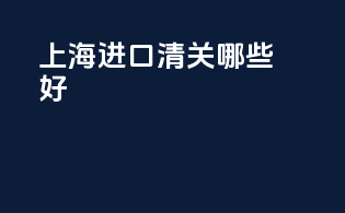 上海进口清关哪些好