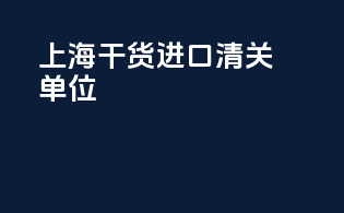 上海干货进口清关单位