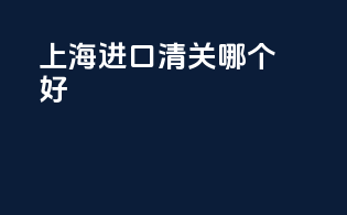 上海进口清关哪个好