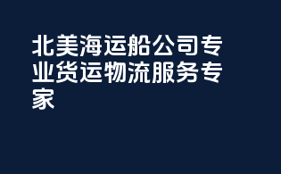 北美海运船公司：专业货运物流服务专家