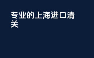 专业的上海进口清关