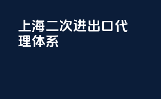 上海二次进出口代理体系