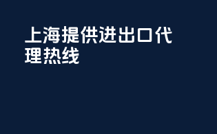上海提供进出口代理热线
