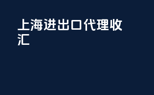 上海进出口代理收汇