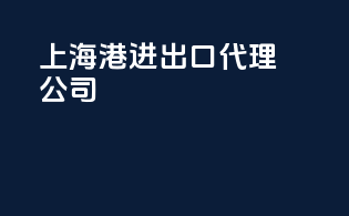 上海港进出口代理公司